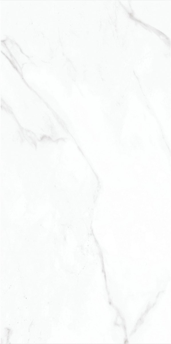 CARR ALVES PORCELAINE WHITE 30 X 60 1,44 M²/PQ