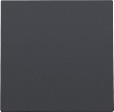 ANTHRACITE HOLE COVER TRIM