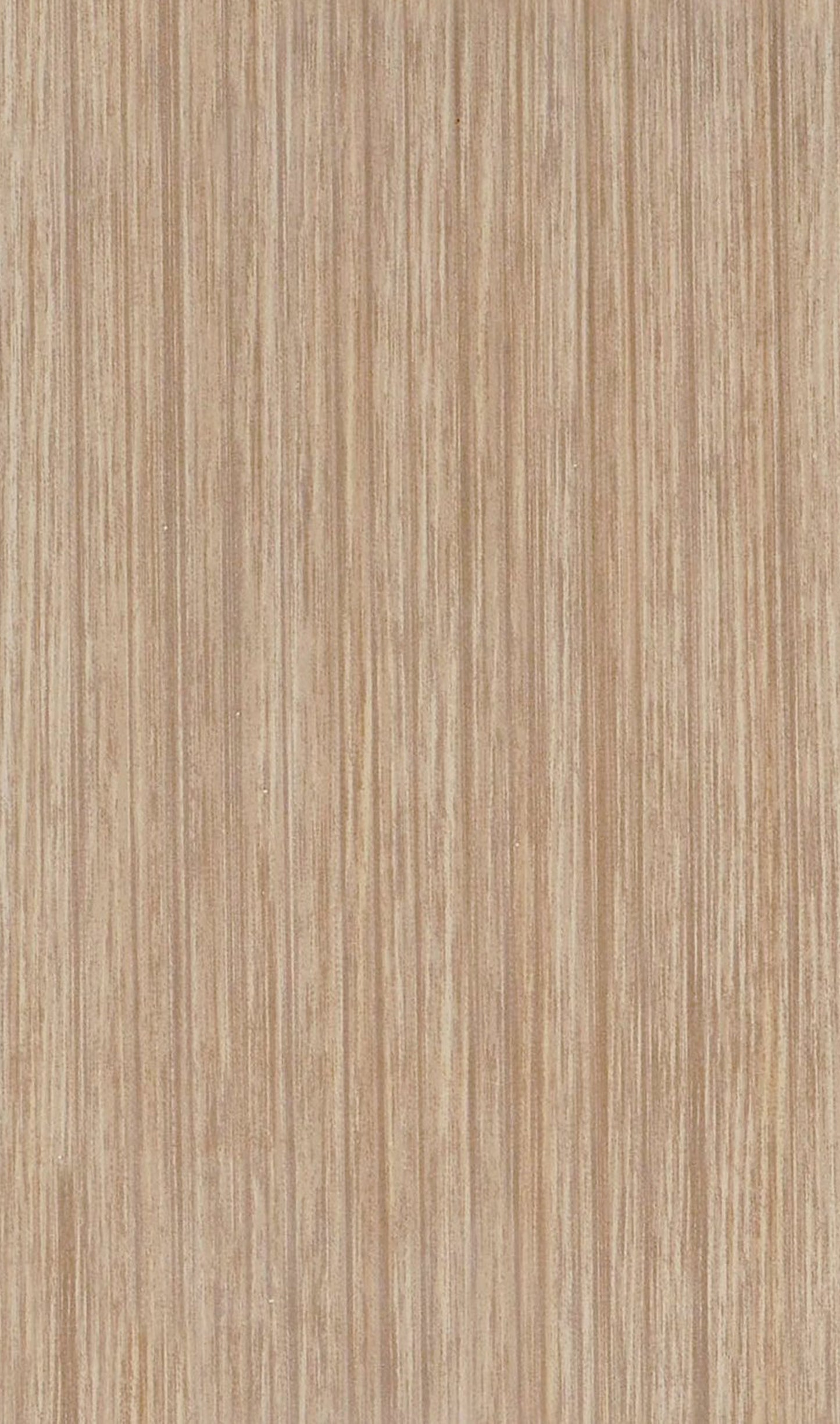 CARR NEVA NOCE 25X40 1M²