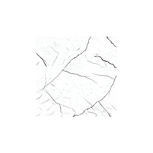 CARR ATLAS WHITE FLOOR 40X40 (1.76 M²/PACK)