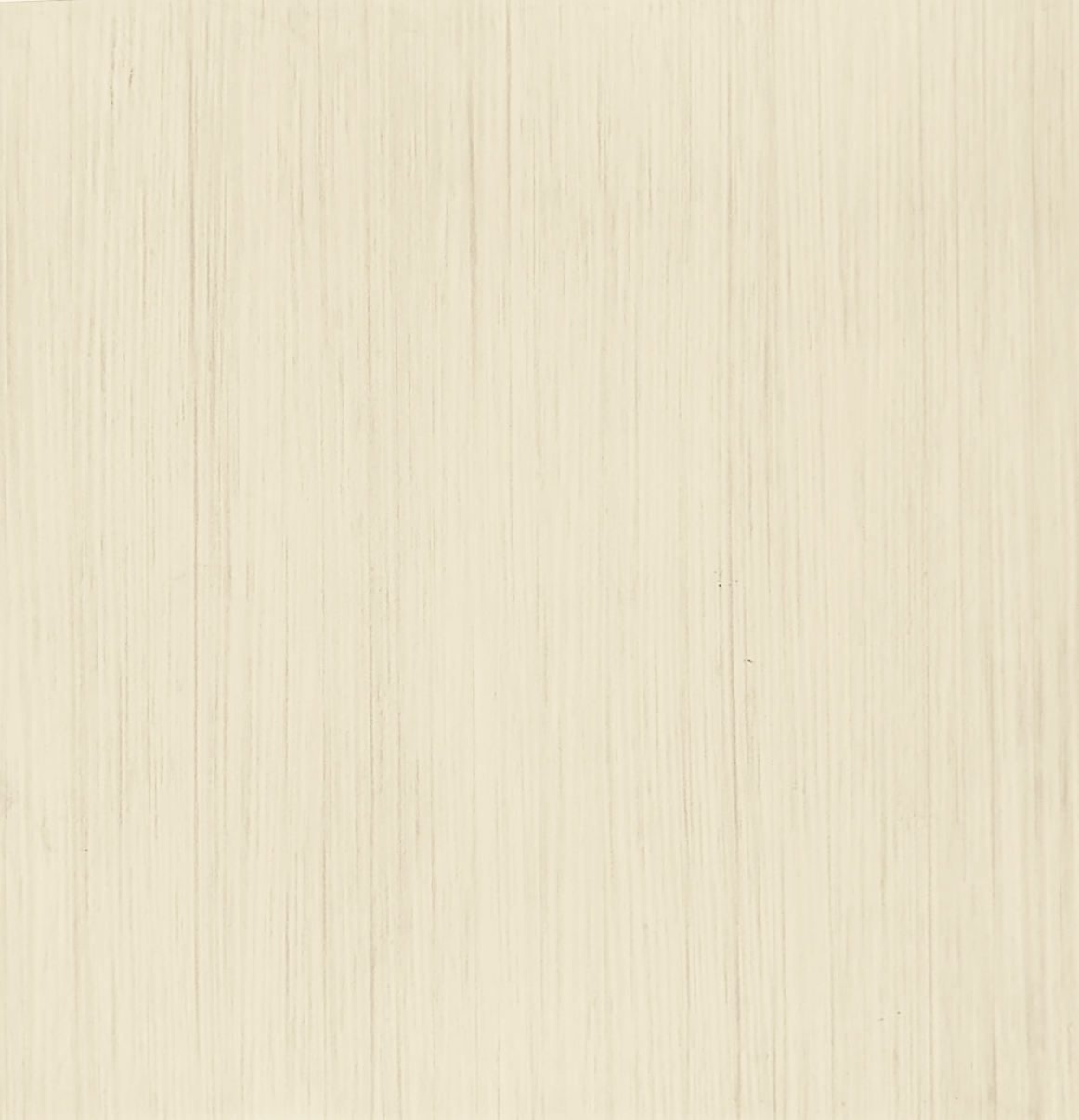 CARR NEVA BEIGE 33 X 33 1M²/PK