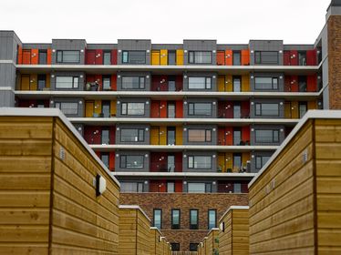 DECOBOARD CLASSIC DCL01 8MM 252X122 BLANC