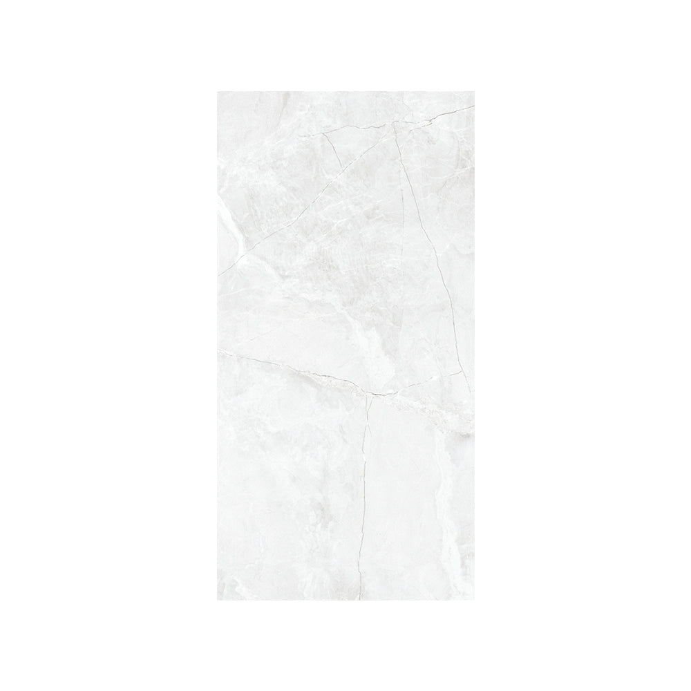 CARR ZEUS SILVER 30X60 (1,44 M²/PQ)