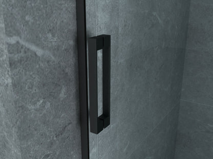 PORTE DE DOUCHE COULISSANTE 8 MM 1400 X 1950 CM PROFIL NOIR MAT