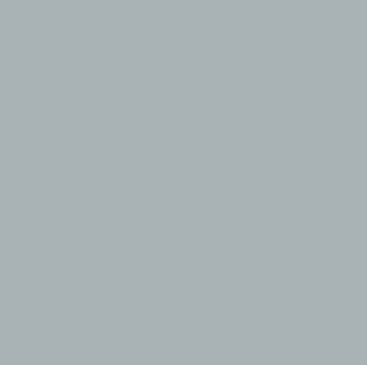 CARR RAL SERIE R.0005500 D.GREY 20X20 (1,2M²/PQ)