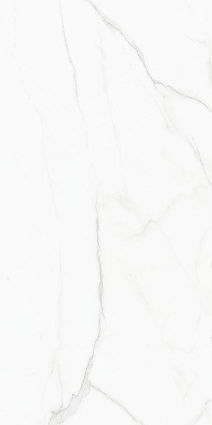 CARRELAGE STATUS NATUREL 120X240 (2,88M²/PC)