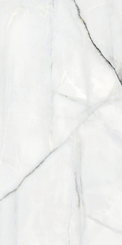 CARRELAGE NEWBURY BLANC PULIDO 120X240 (2.88M²/PC)