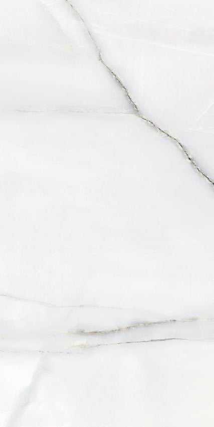 CARRELAGE NEWBURY BLANC PULIDO 60X120 (1,44M²/PQ)