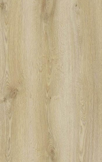 AGT NATURA LINE TREND OAK 8MM (1.83M²/PQ), parquet, Debrico magasin de matériaux de construction sur Bruxelles