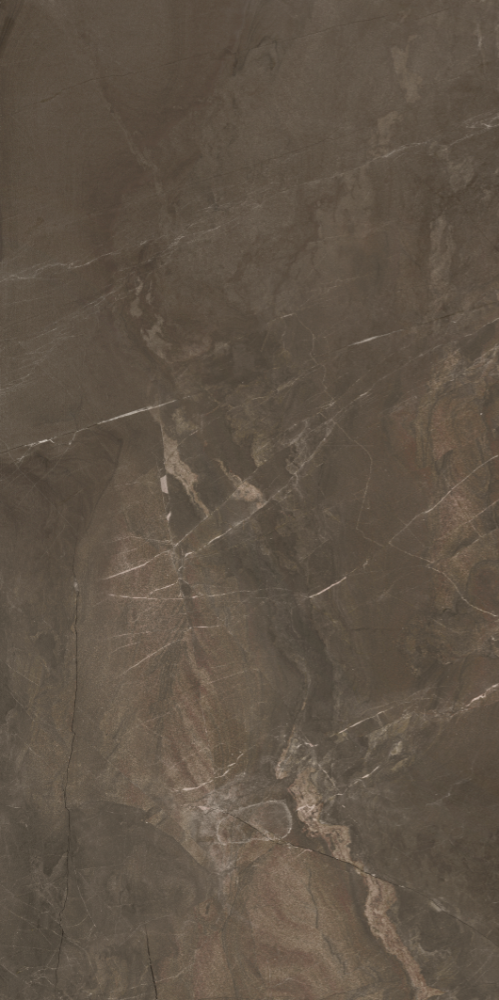 CARR ZEUS BROWN 30X60 (1,44 M²/PQ)