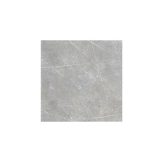 CARR RESOLUTE - 19 MM GREY 60 X 60 X 2 CM 0.72 M²/PQ