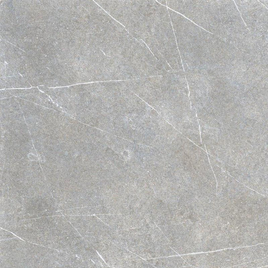 CARR RESOLUTE - 19 MM GREY 60 X 60 X 2 CM 0.72 M²/PQ