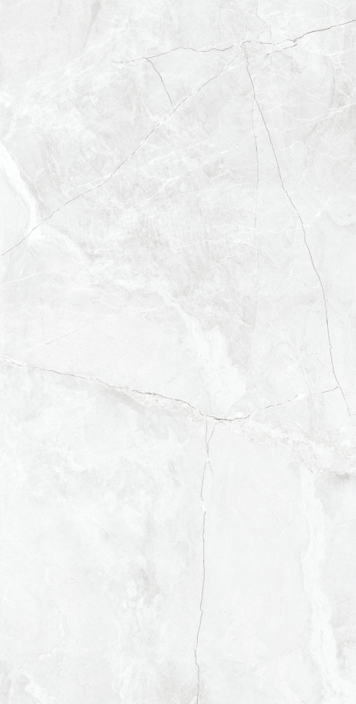 CARR ZEUS SILVER 30X60  (1,44 M²/PQ)