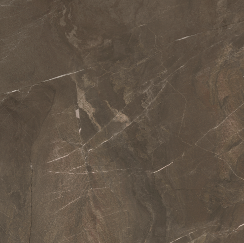 CARR ZEUS BROWN 50X50 (1,75M²/PQ)